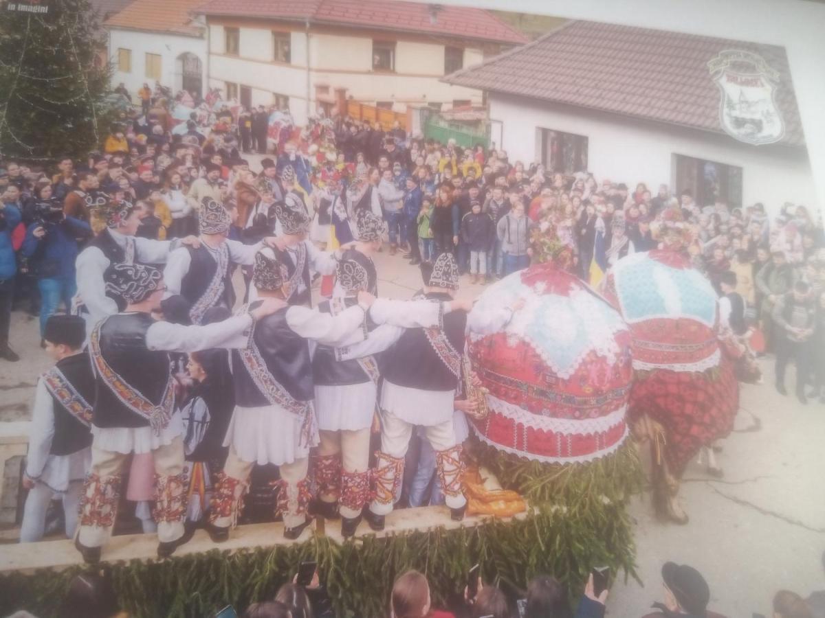 Pensiunea Casa Roman Tălmaciu Kültér fotó